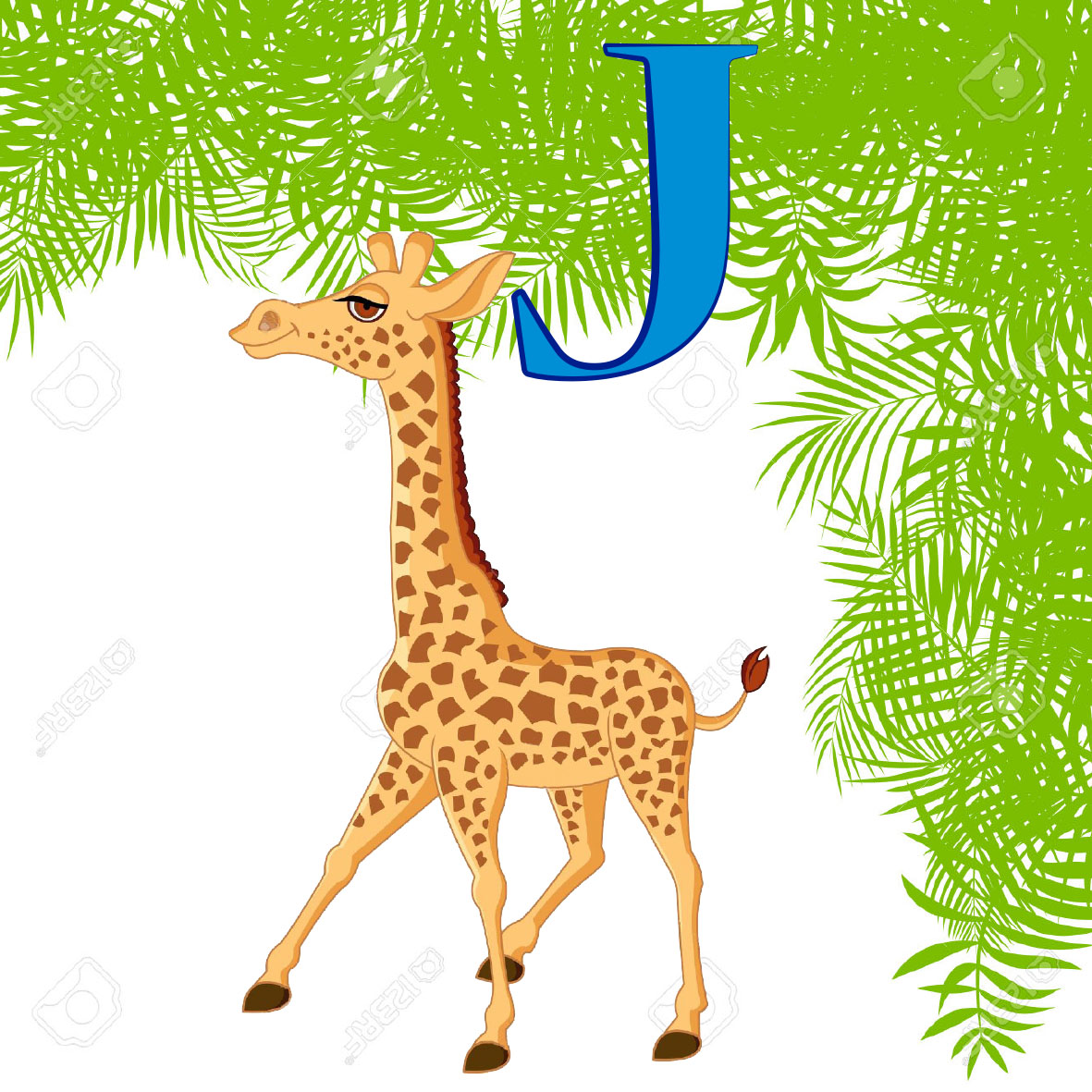 imagen de una Jirafa, es una animal salvaje que se caracteriza por su gran altura