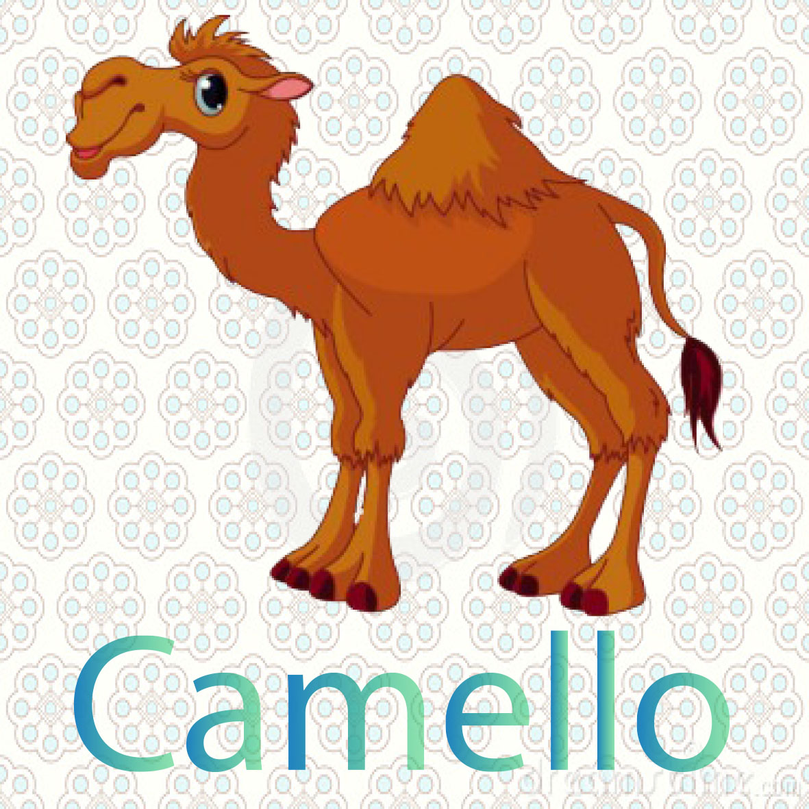 imagen de una camello viven en el desierto, son de color marron, se caracterizan por tener dos jorobas que almacenan agua  